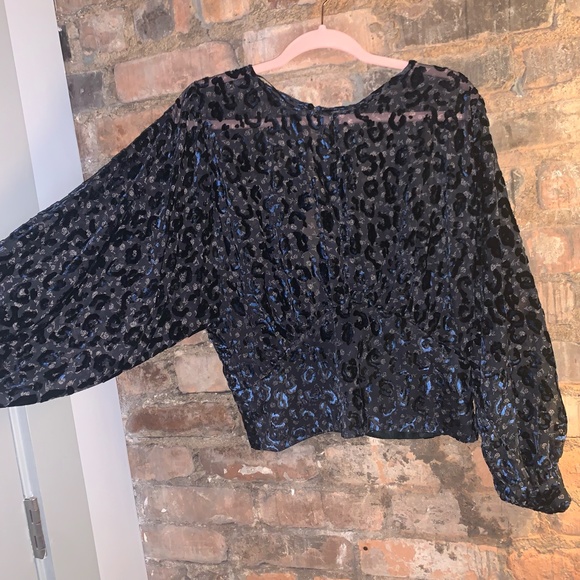 NWOT Zara Sheer Cheetah Long-Sleeve Top - Picture 3 of 4